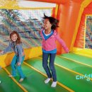 대성체육관 (태권도) 이미지