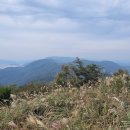 솔밭목장 이미지