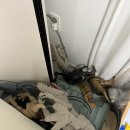 또와세탁 이미지