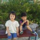 지묘어린이집 이미지