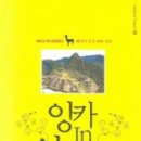 안데스 - 북구 일곡택지로 87 | 안데스