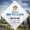 에이스공인중개사사무소 이미지