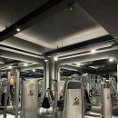 바디와이짐 이미지