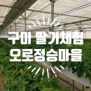 오로정승마을 영농조합법인 이미지