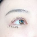 공드리움
