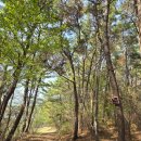 근흥농협 하나로마트 이미지