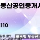 블루칩부동산공인중개사사무소 네이버블로그