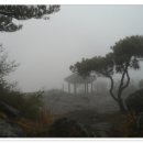 미륵산전망대 이미지