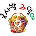 더금사발컴퍼니