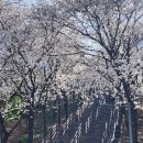 침산공원(A) 이미지