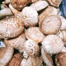 소반농장 이미지