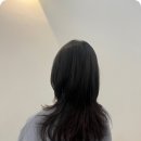 뷰헤어 이미지