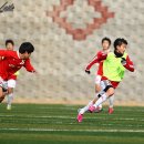 김태영축구장 이미지