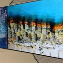 주상절리W | 다녀왔습니다. 경주주상절리 양남부채꼴주상절리