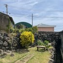 스테이뵤뵤 | 제주 감성숙소 스테이뵤뵤 펜션 후기(제주 동쪽 종달리/주차)