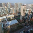 마마트24 이미지