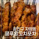 바다시골쥐의 또간집 건대 쿵푸양꼬치 포차 후기