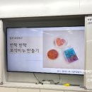 율포초등학교 이미지