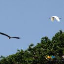 발포해수욕장 이미지