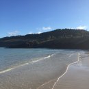 팔월의라 민박 이미지