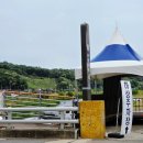봉갑리318카페 | 공주 수국축제 유구 색동 수국정원 기간 주차 팁 개화 상황 주변 맛집