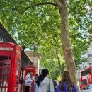 대영오락실 이미지