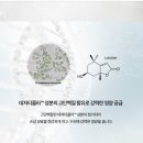 도기트래블말랑맨션 | 탈모 초기증상 자가진단법