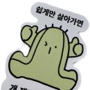 덤덤 마켓