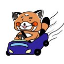 평창두부 이미지