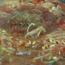 내고향식당 이미지