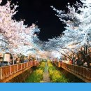 신등초등학교 이미지