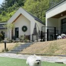 도그하우스 이미지