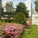 원평초등학교 이미지