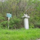 함평나비(무안) 이미지