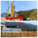 서대문 주말농장 텃밭 가꾸기 참여 후기(feat:4~5월 텃밭 농장의 기록)