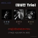 공연기획 푸른하늘 이미지