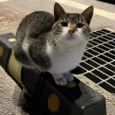 스물셋 (23)