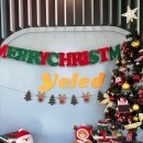 옐레드 애견유치원 & 애견호텔 대전노은점 이미지