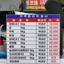 여수수산시장 | 여수수산시장 회센터 방문기!! 가성비 회 포장해서 여수호텔 숙소에서 마음껏 먹기~~