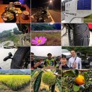 공주-39 이미지