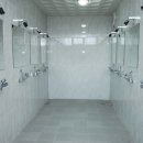 화랑오토캠핑장 이미지