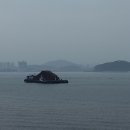 대성목재 노동조합 이미지