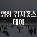 감자꽃스테이 이미지