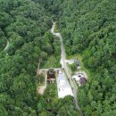 자연속의 펫 이미지