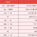 피피티