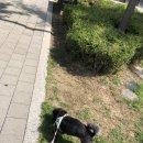 아반테이블 이미지