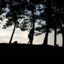 부엉이민박 이미지