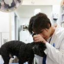 리센츠 스타동물병원 이미지