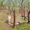 초부리유아숲체험원 이미지