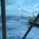 까망코살롱 | [제주도]20180205~20180208